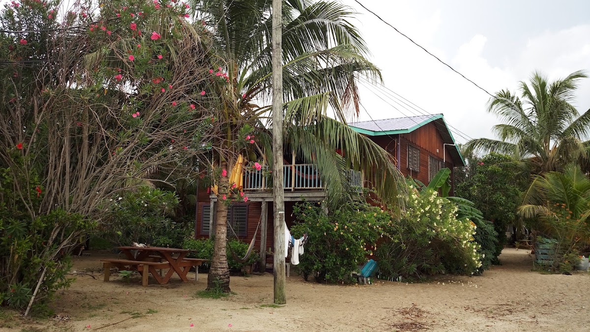 Jewel of Placencia gallery 6