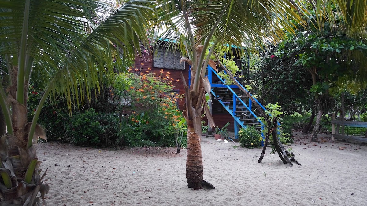 Jewel of Placencia gallery 7