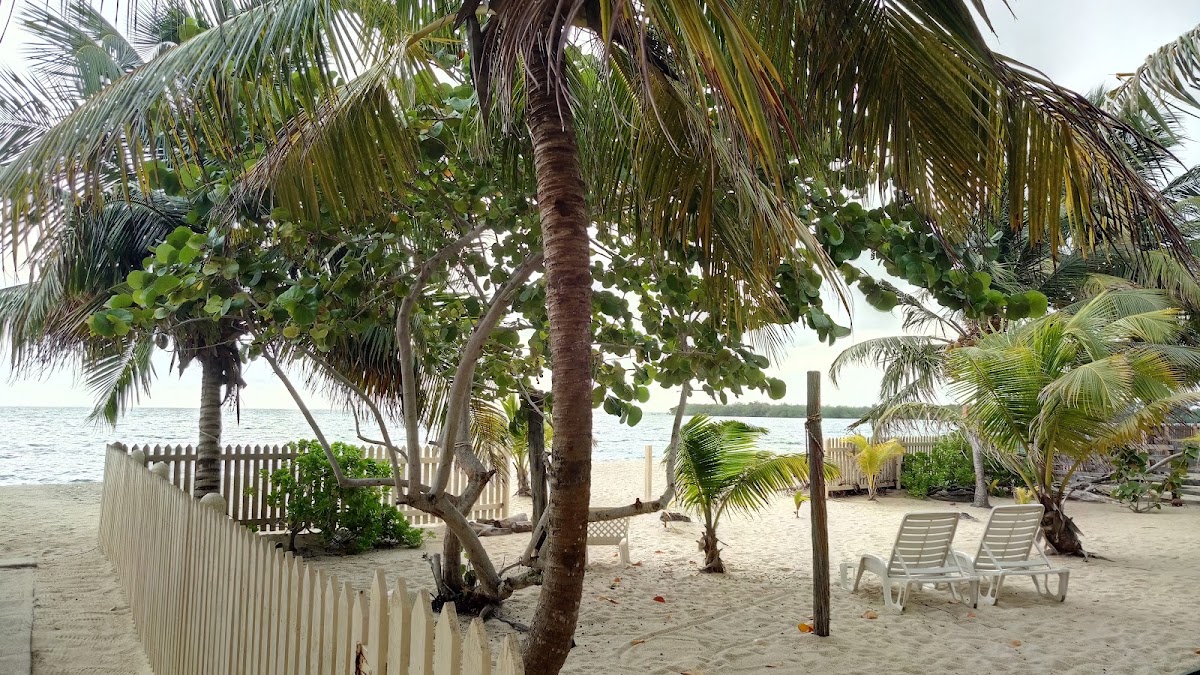 Jewel of Placencia gallery 9
