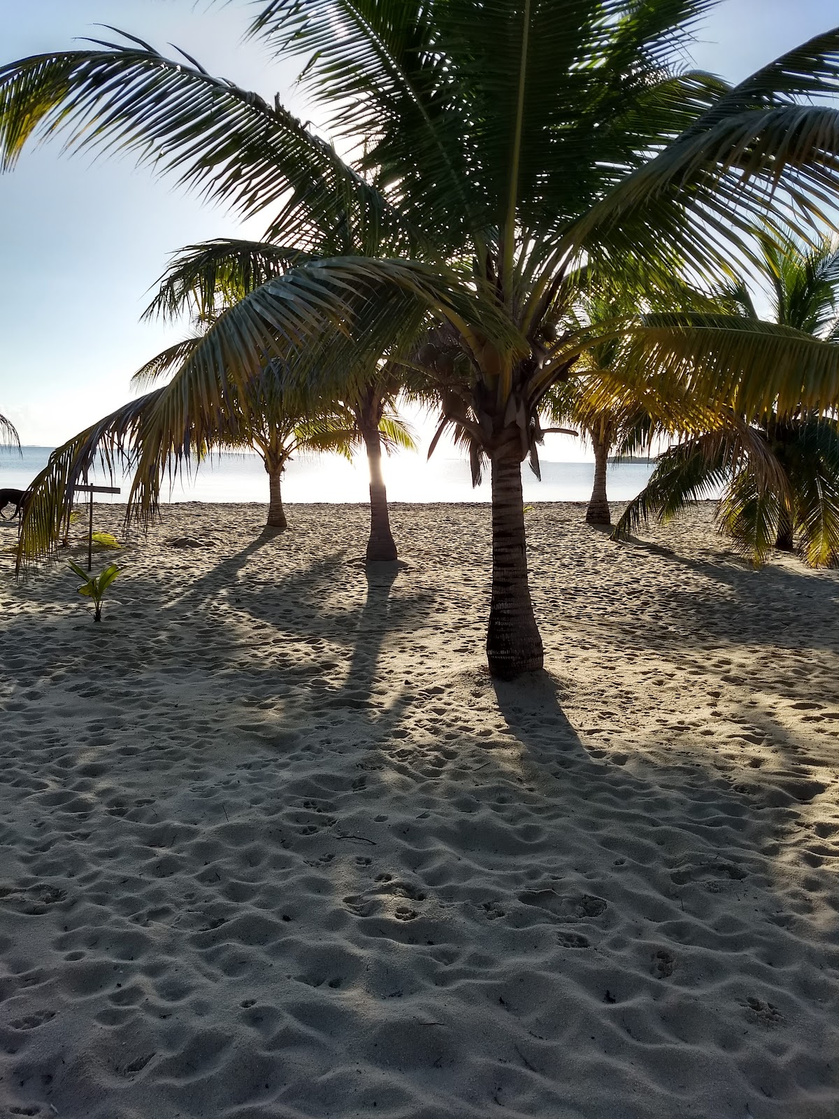 Placencia Beach House gallery 6