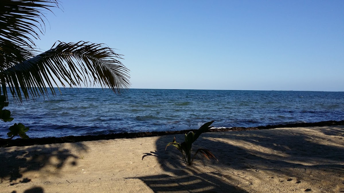 Millers Landing Resort gallery 3