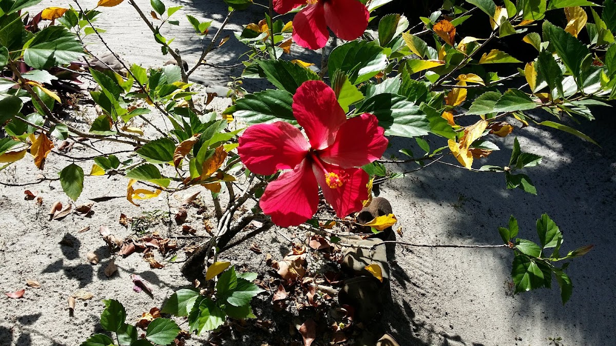 Millers Landing Resort gallery 7