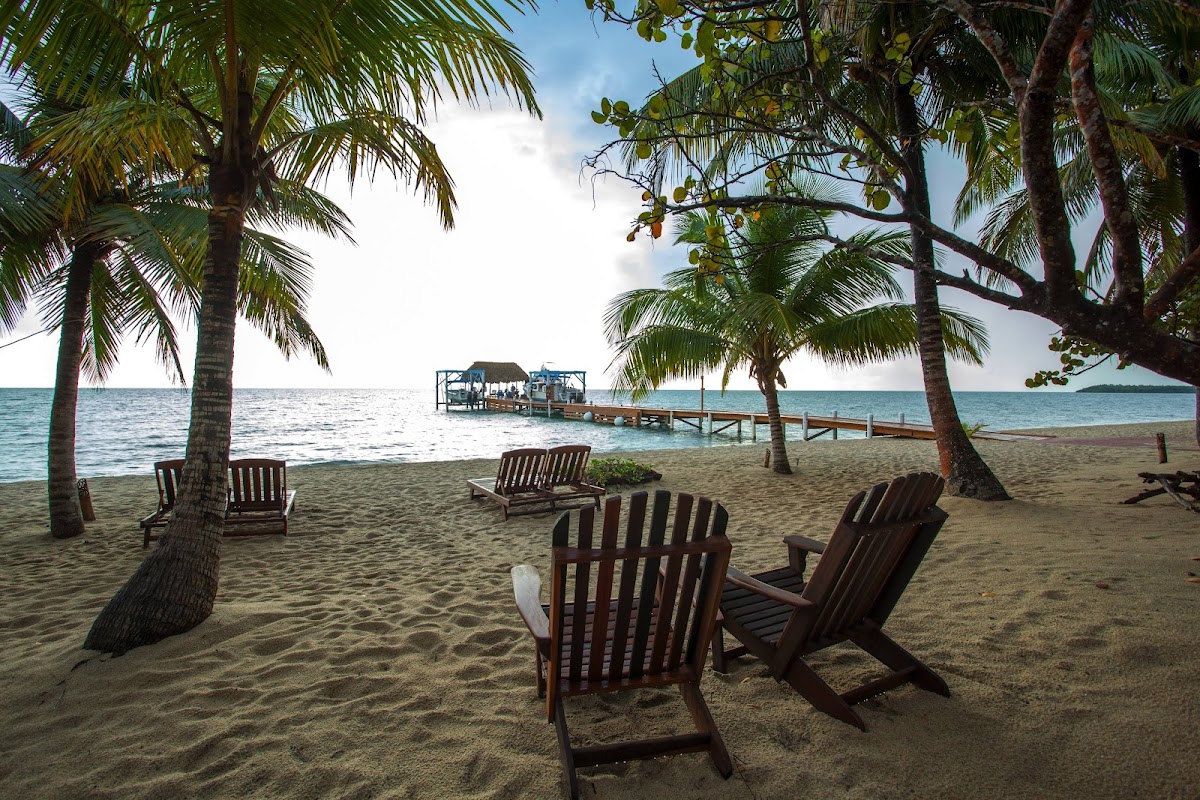 Hamanasi Adventure & Dive Resort gallery 5