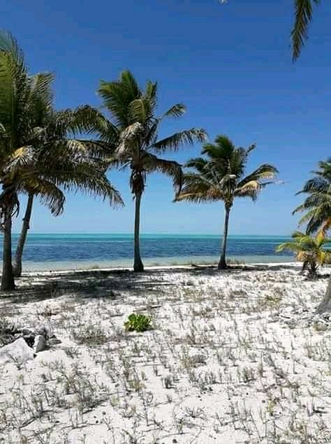 West Wind Laguna at The Placencia Residences gallery 4