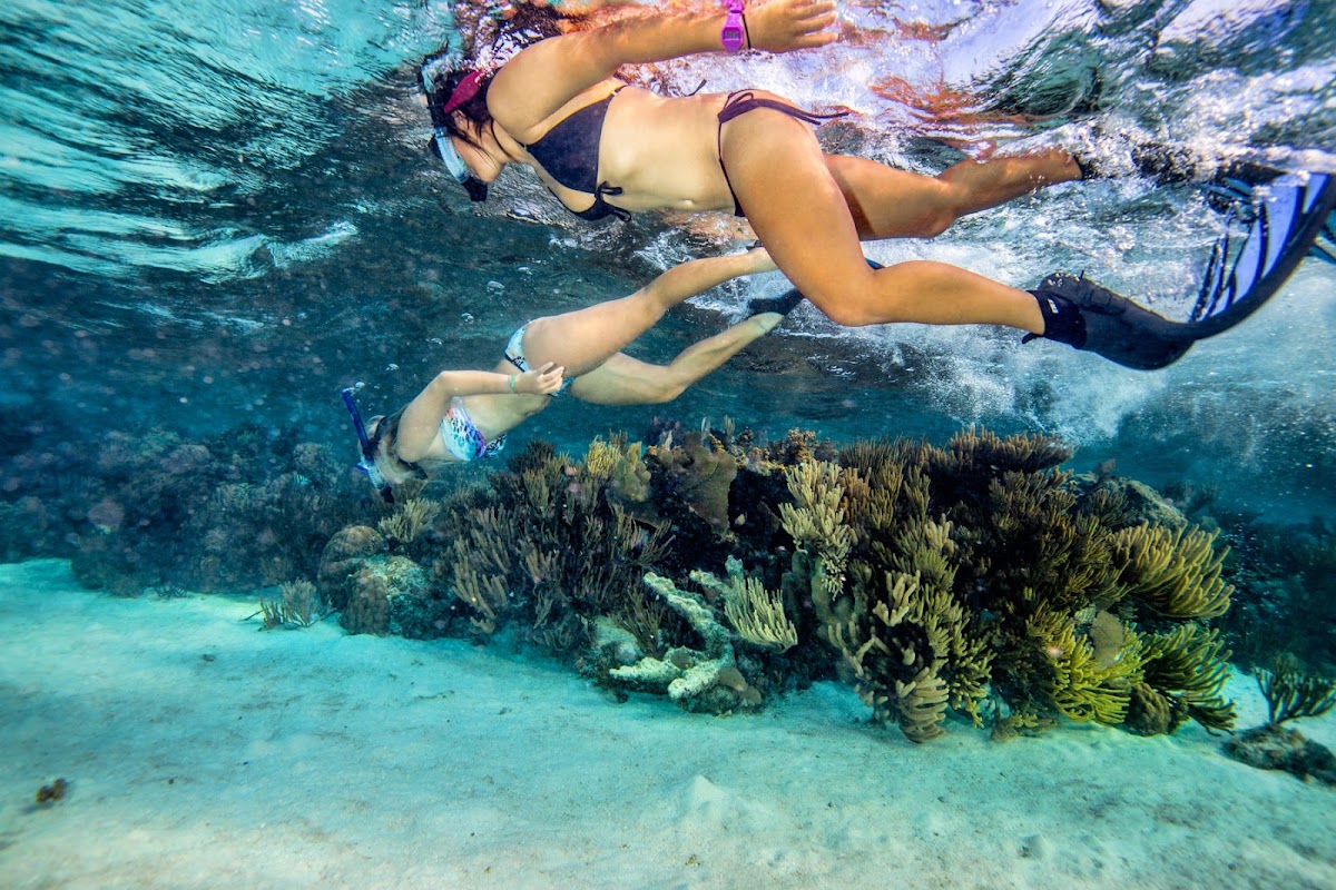 Belize Adventures gallery 9