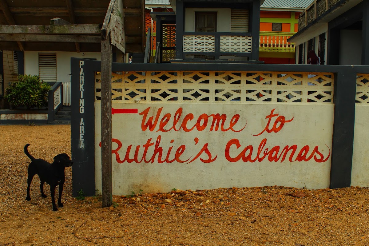 Ruthie's Cabanas gallery 3