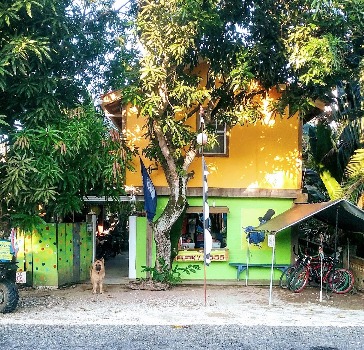 The Funky Dodo Backpackers Hostel cover