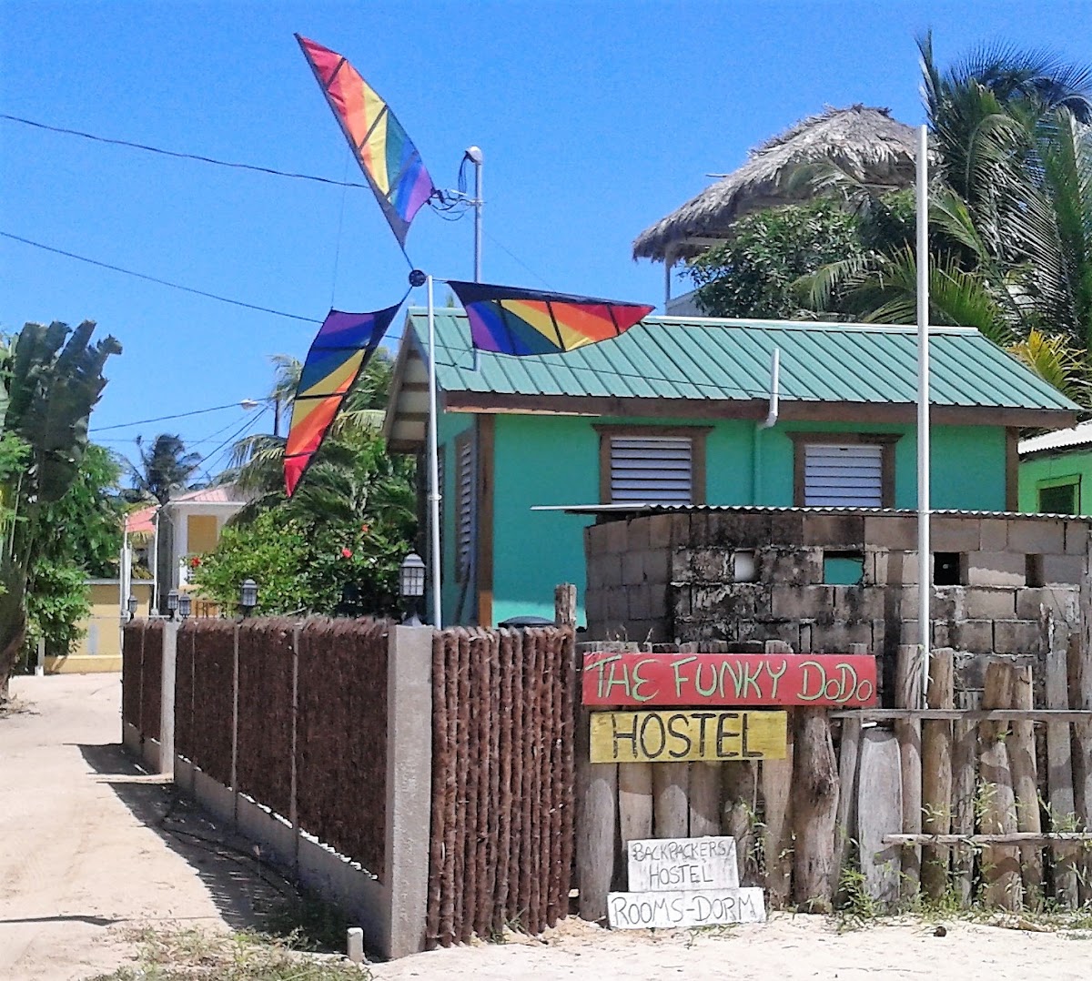 The Funky Dodo Backpackers Hostel gallery 5