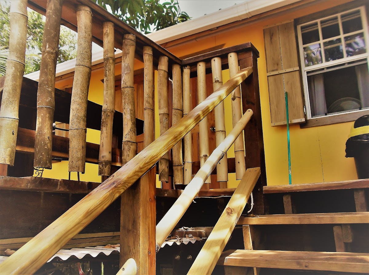 The Funky Dodo Backpackers Hostel gallery 8