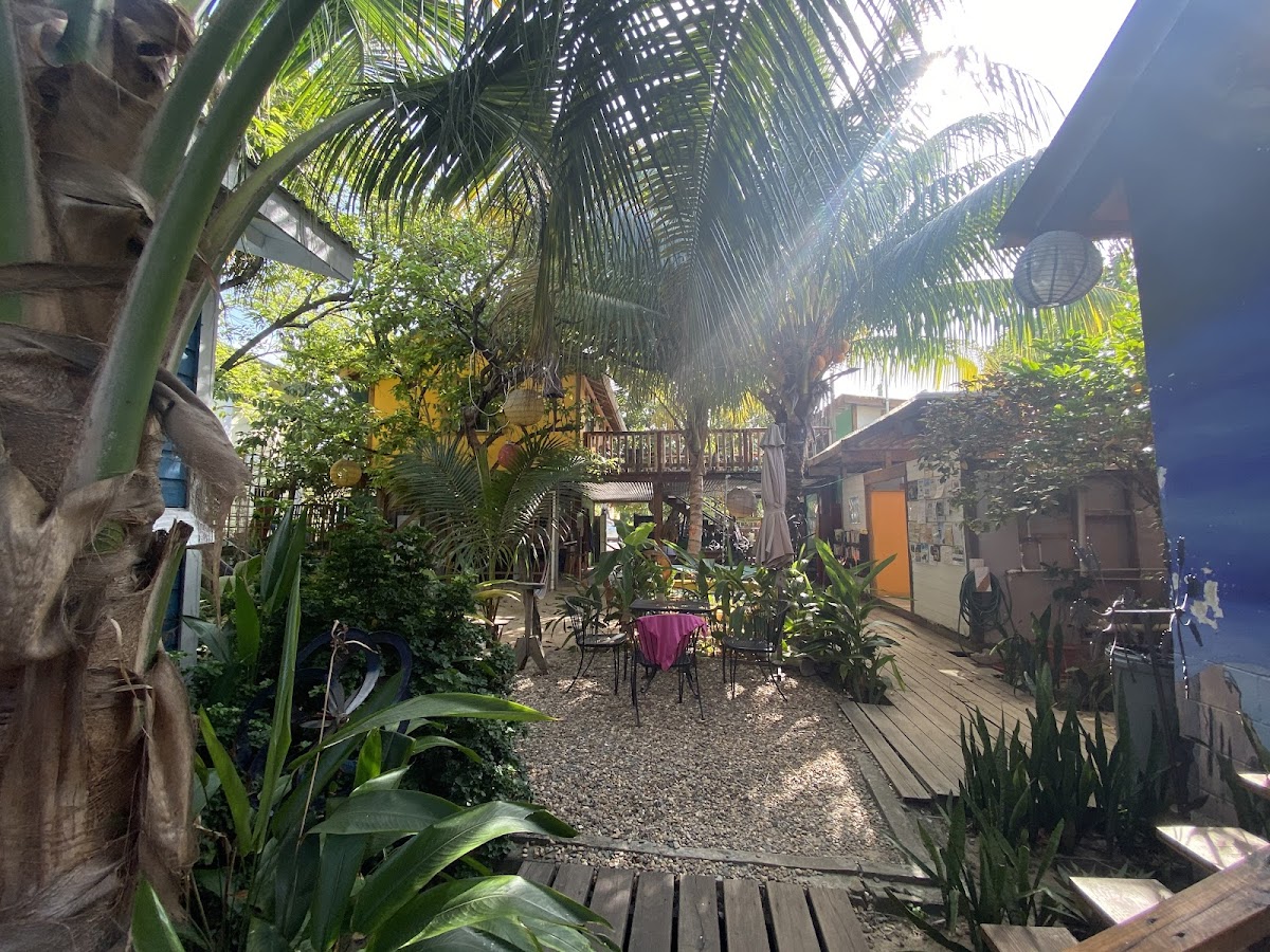 The Funky Dodo Backpackers Hostel gallery 9