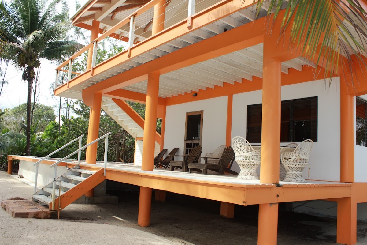Dreamsicle gallery 10