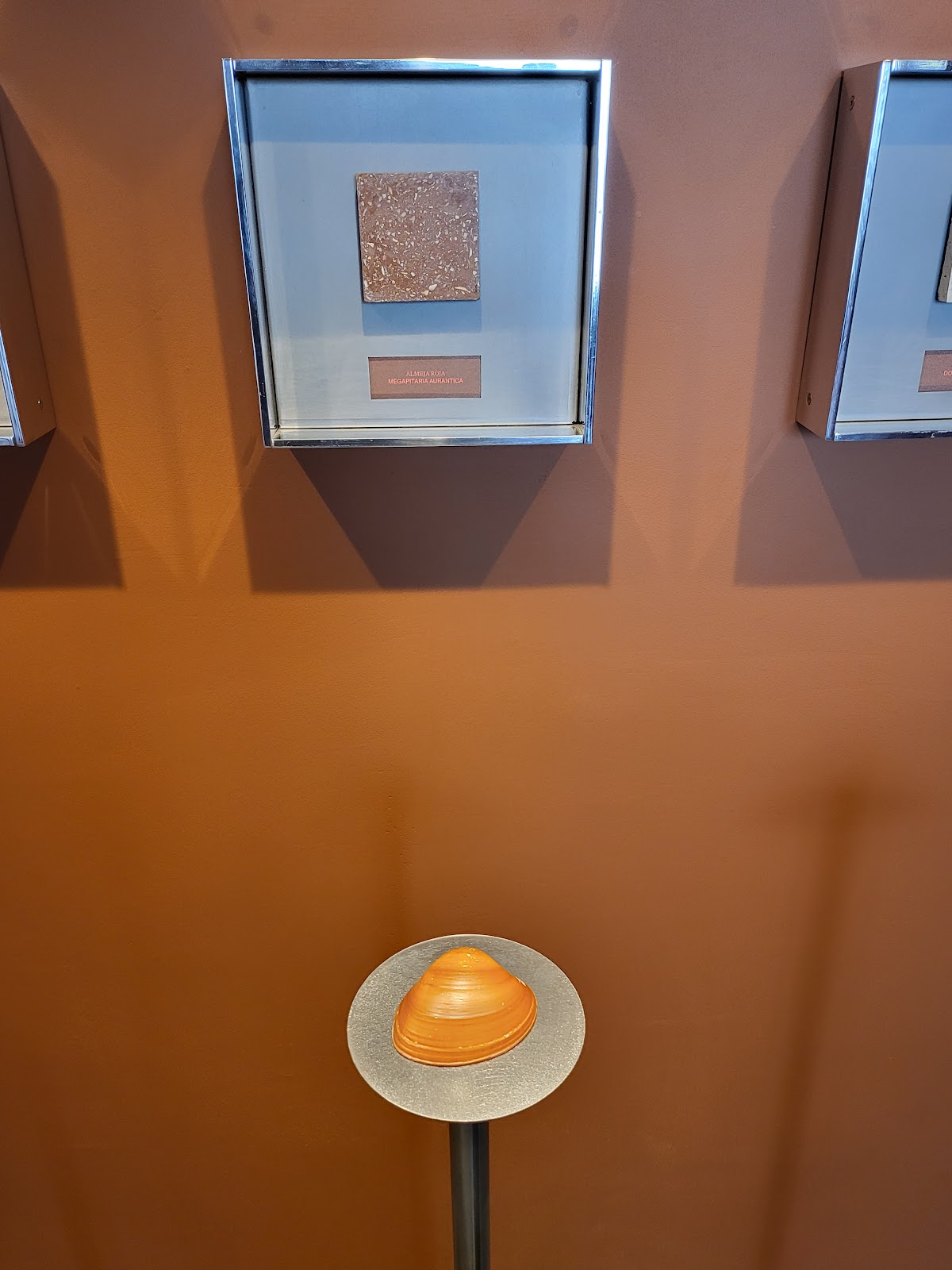 Hotel El Castro gallery 10