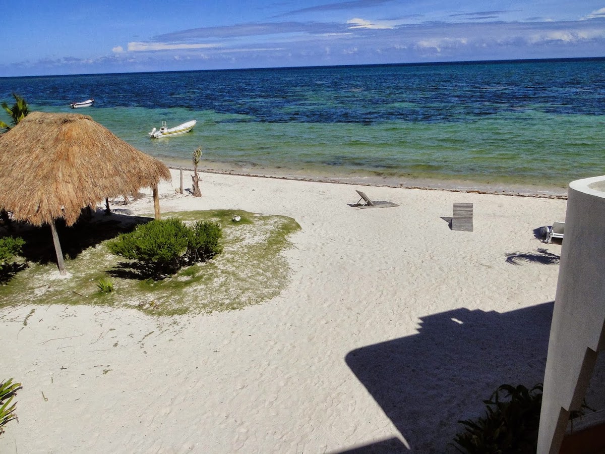 Mayan Beach Garden gallery 6