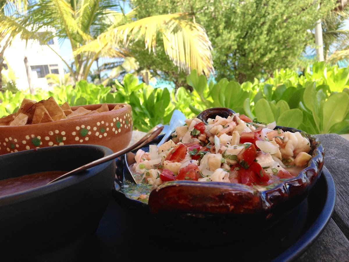 Mayan Beach Garden gallery 9