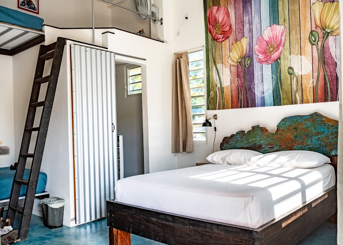 Crash Pad Adventure Hostel gallery 2