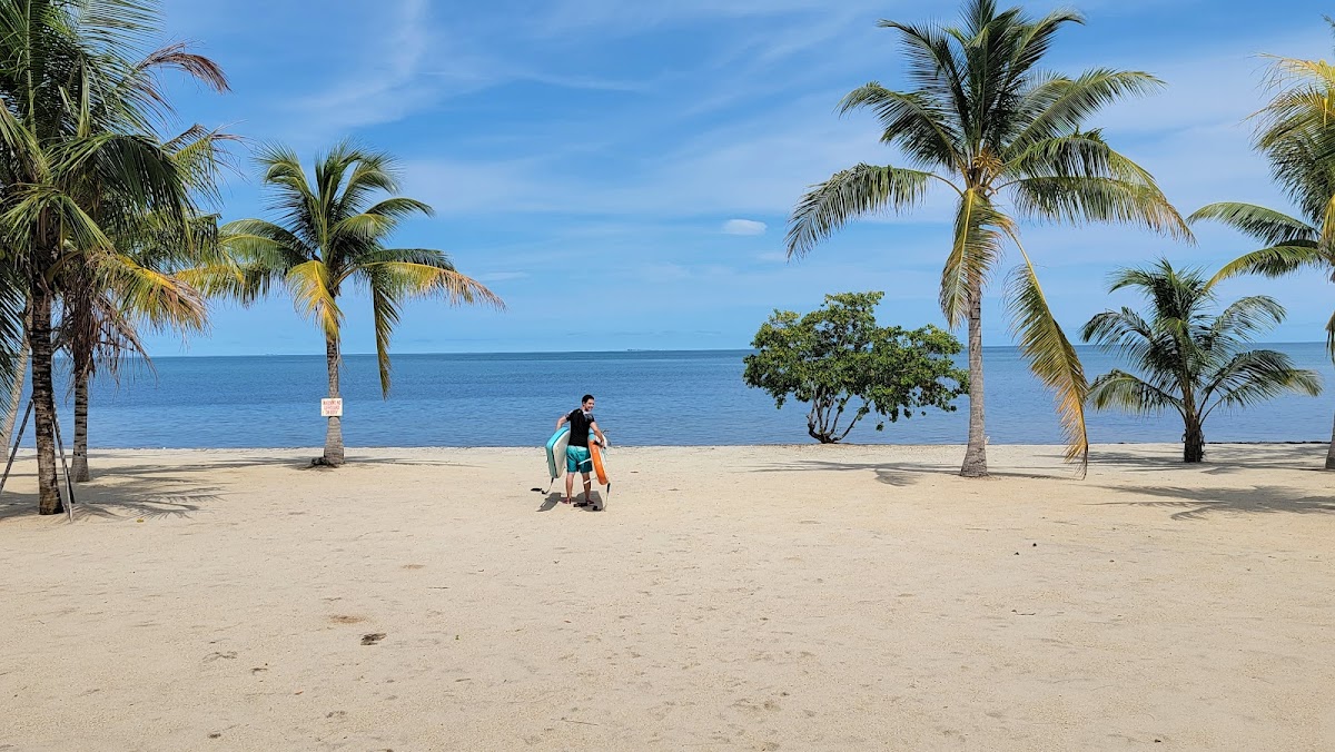 Tropical Latitude gallery 2