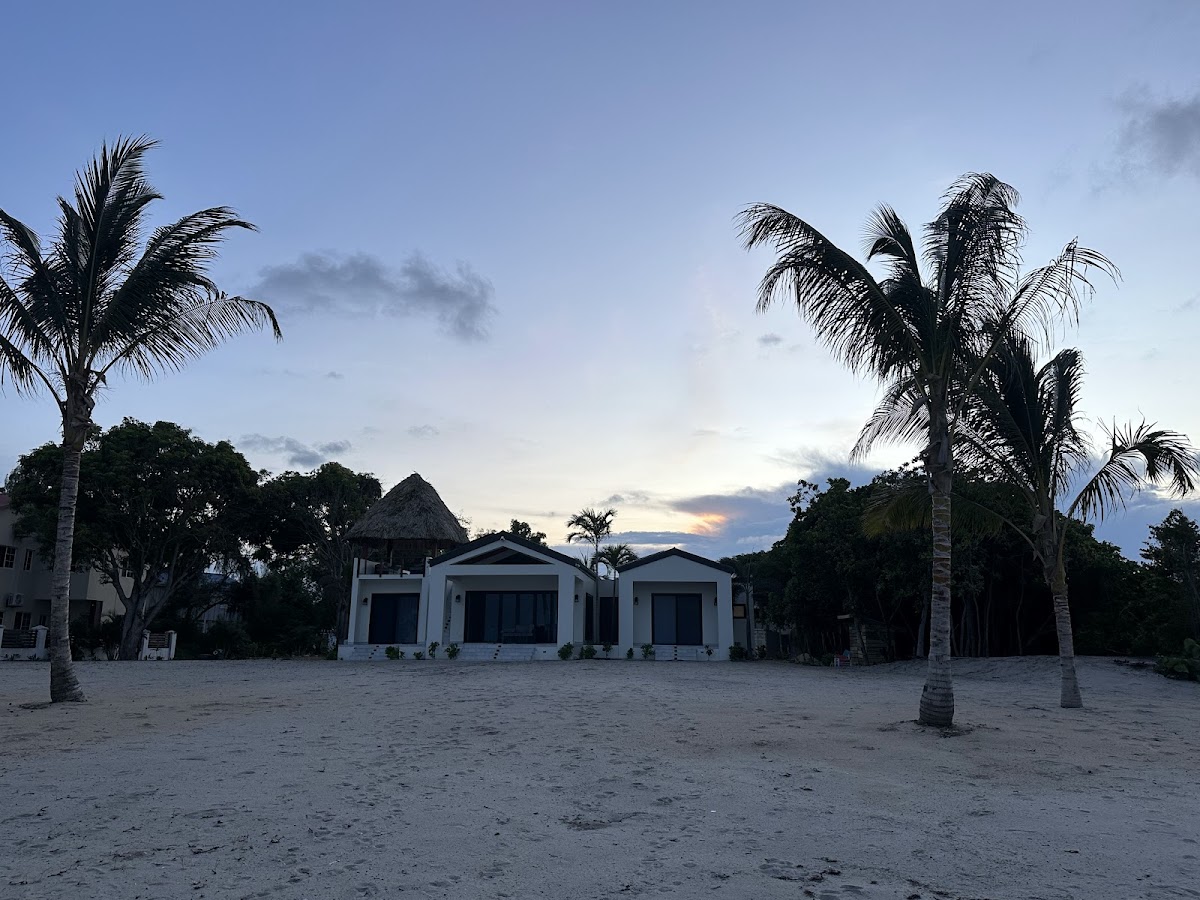 Tropical Latitude gallery 4