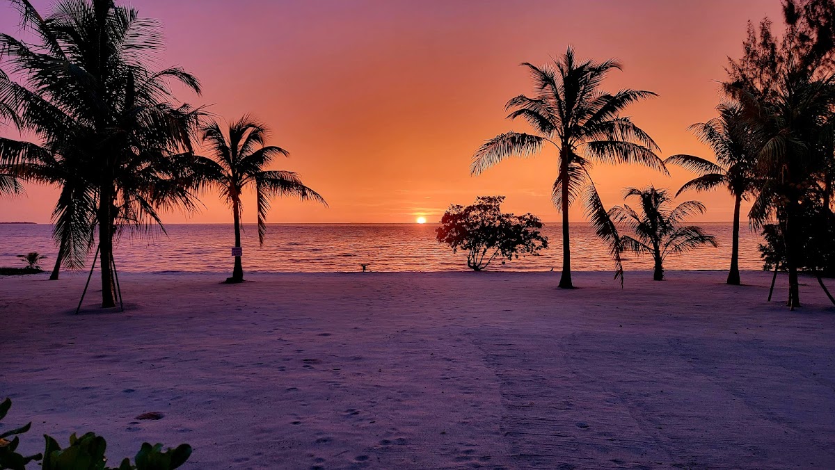 Tropical Latitude gallery 7