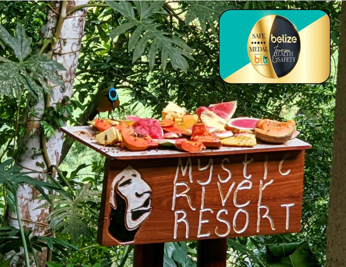 Mystic River Resort gallery 7