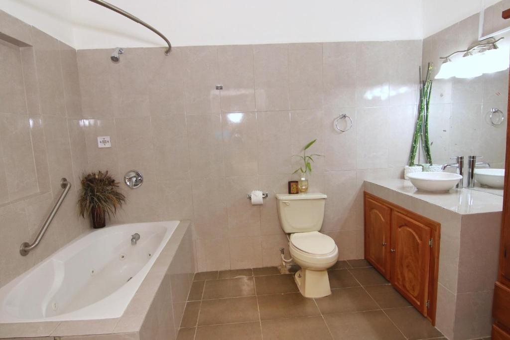 Rainforest Haven Inn gallery 5