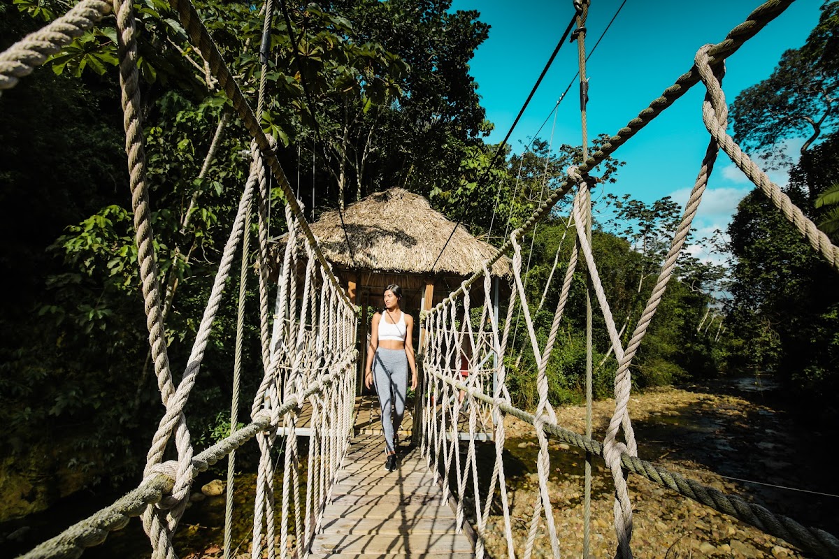 The Rainforest Lodge at Sleeping Giant gallery 10
