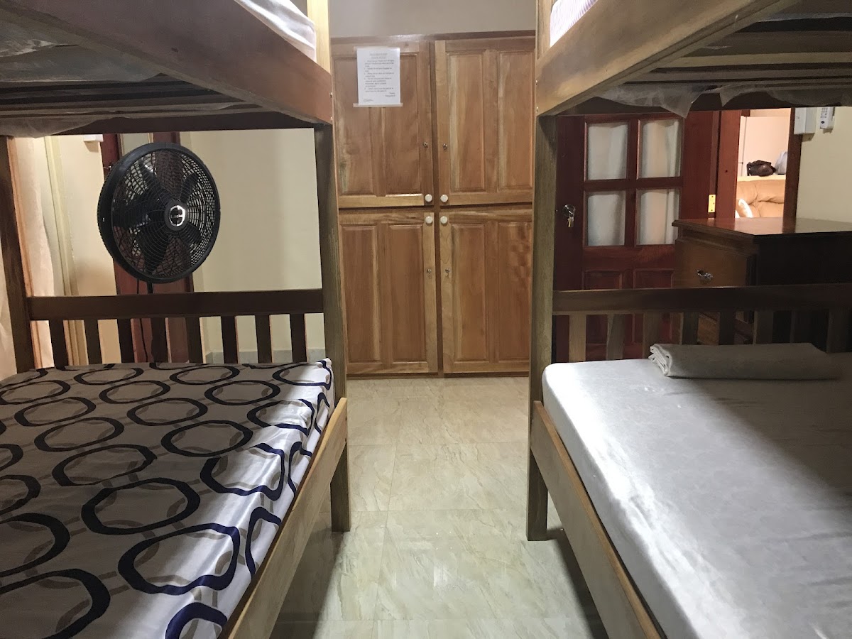 D's Guesthouse/Apartments gallery 10