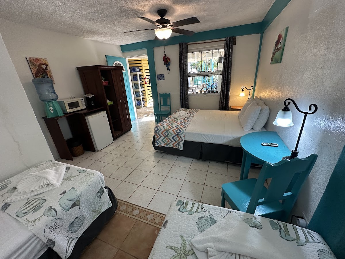 All Seasons Belize gallery 2