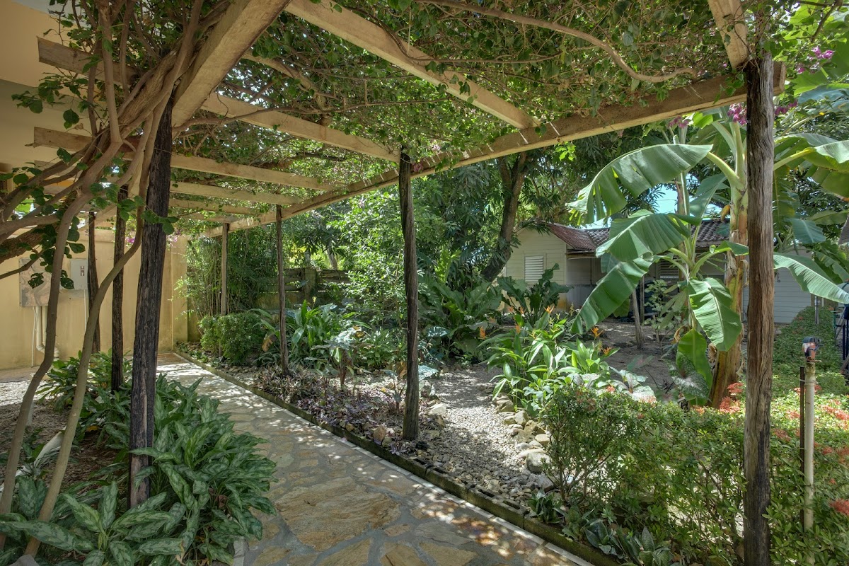 Buttonwood Belize gallery 7
