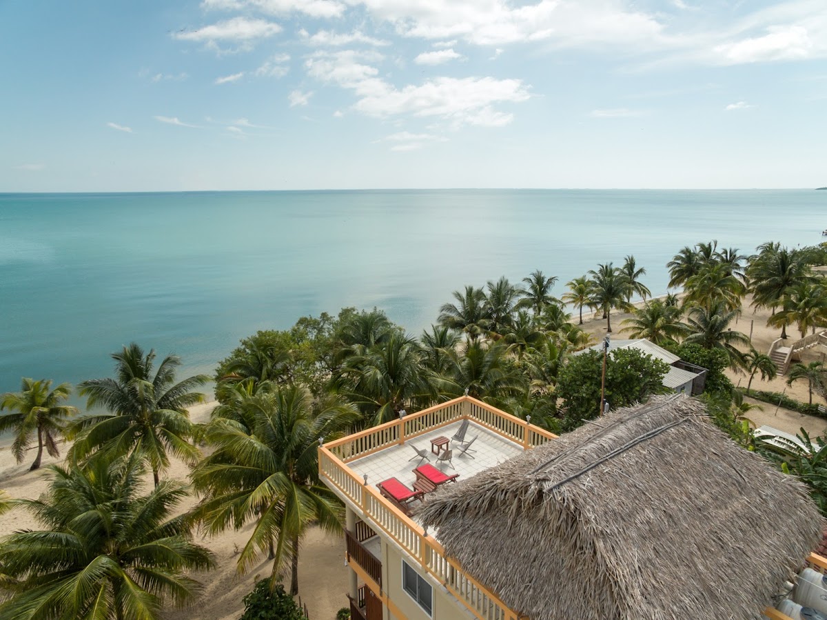 Buttonwood Belize gallery 8