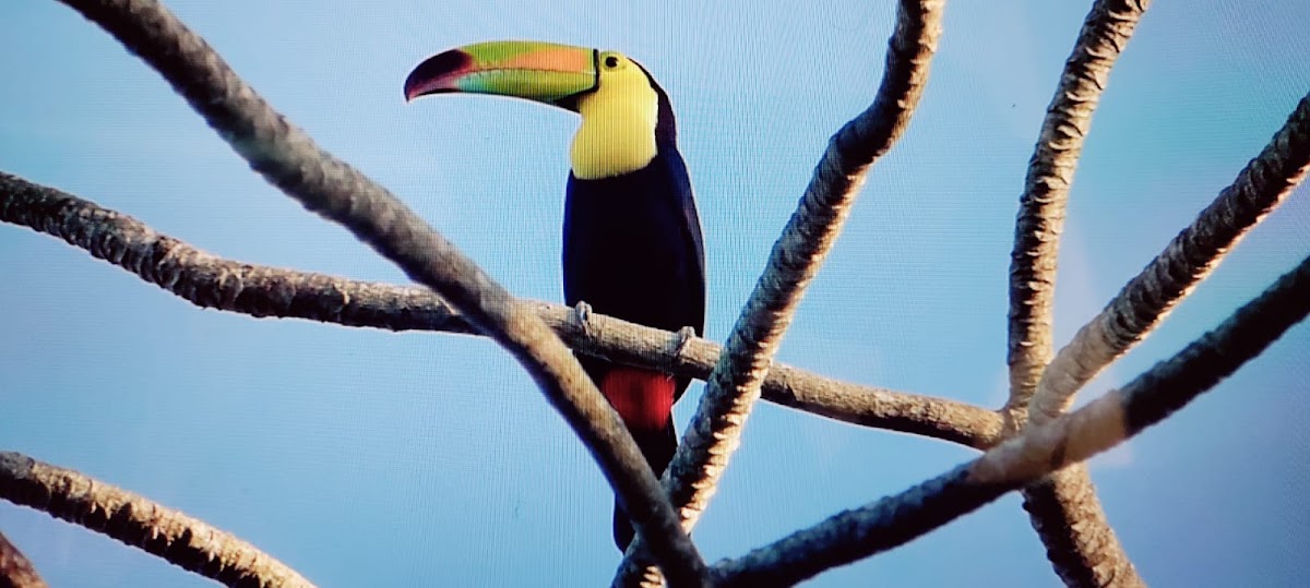 Hidden Paradise Belize gallery 8