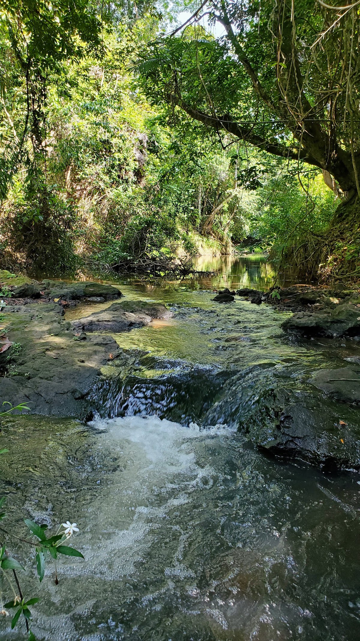 Freshwater Creek Cabanas gallery 10