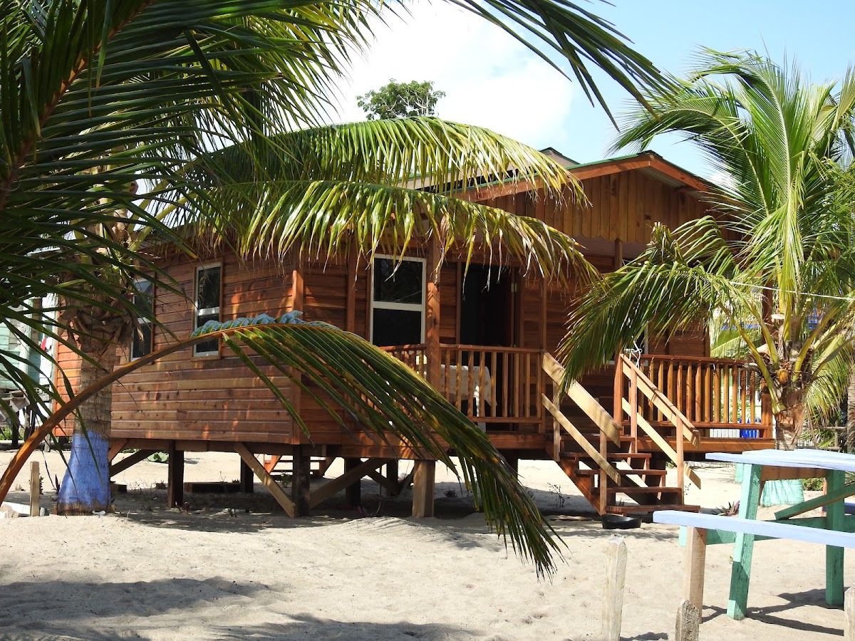 Flomon's Guesthouse gallery 8