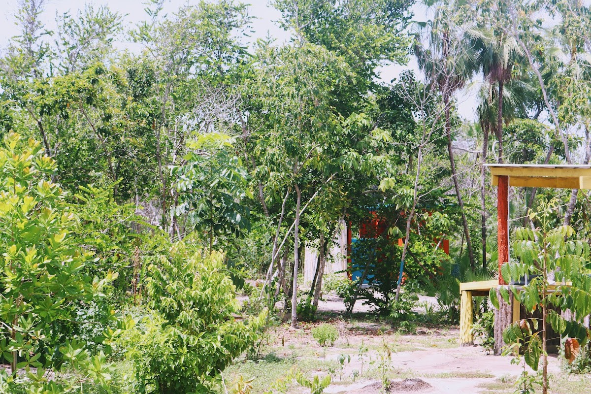 Palmento Grove Garifuna Eco Cultural and Healing Institute gallery 8