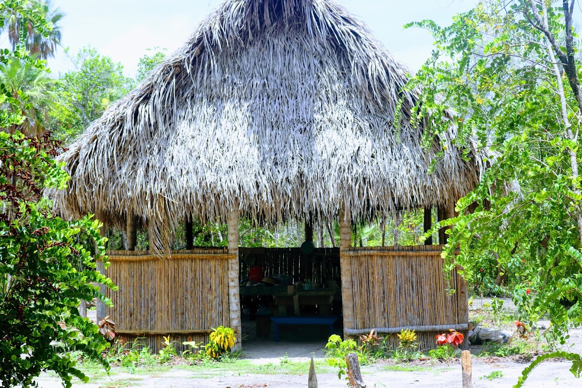 Palmento Grove Garifuna Eco Cultural and Healing Institute gallery 10