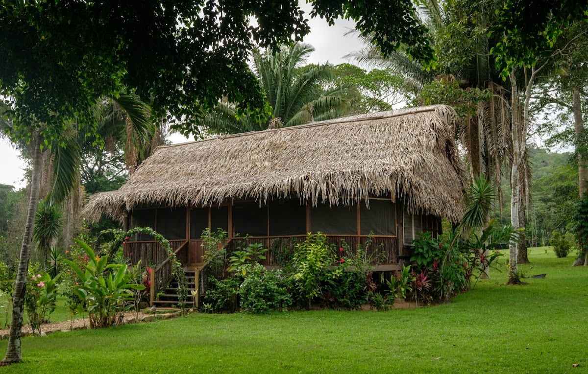 Bocawina Rainforest Resort & Adventures gallery 3