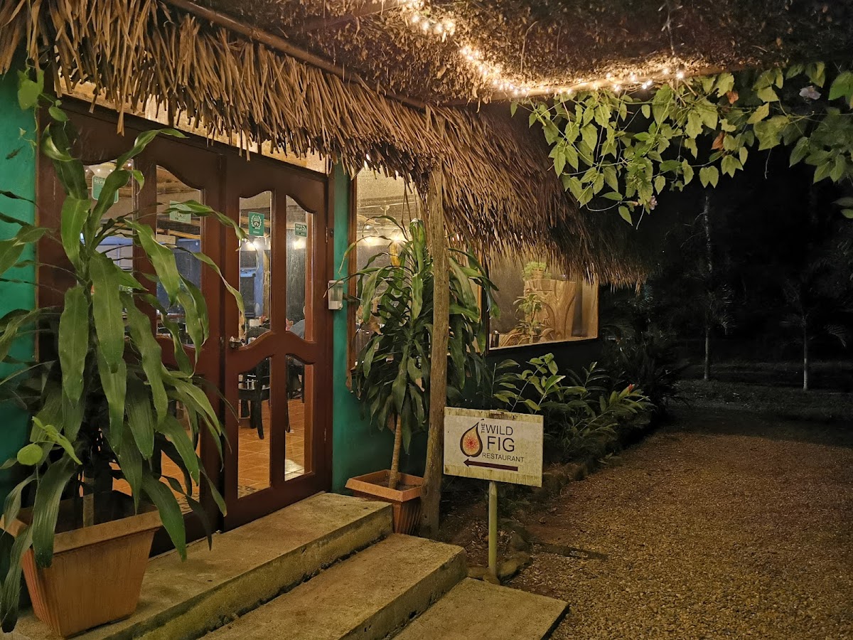 Bocawina Rainforest Resort & Adventures gallery 7