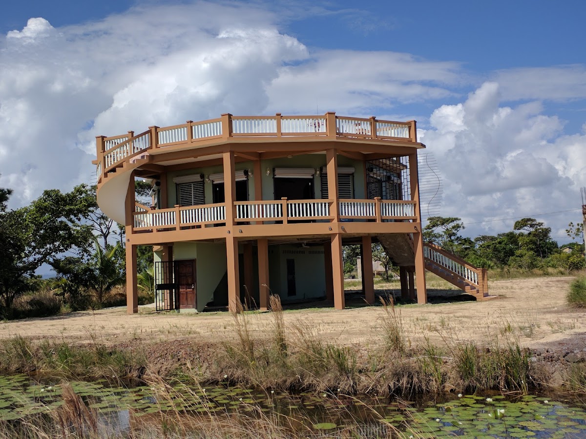 Savannah Sand Dollar - House cover