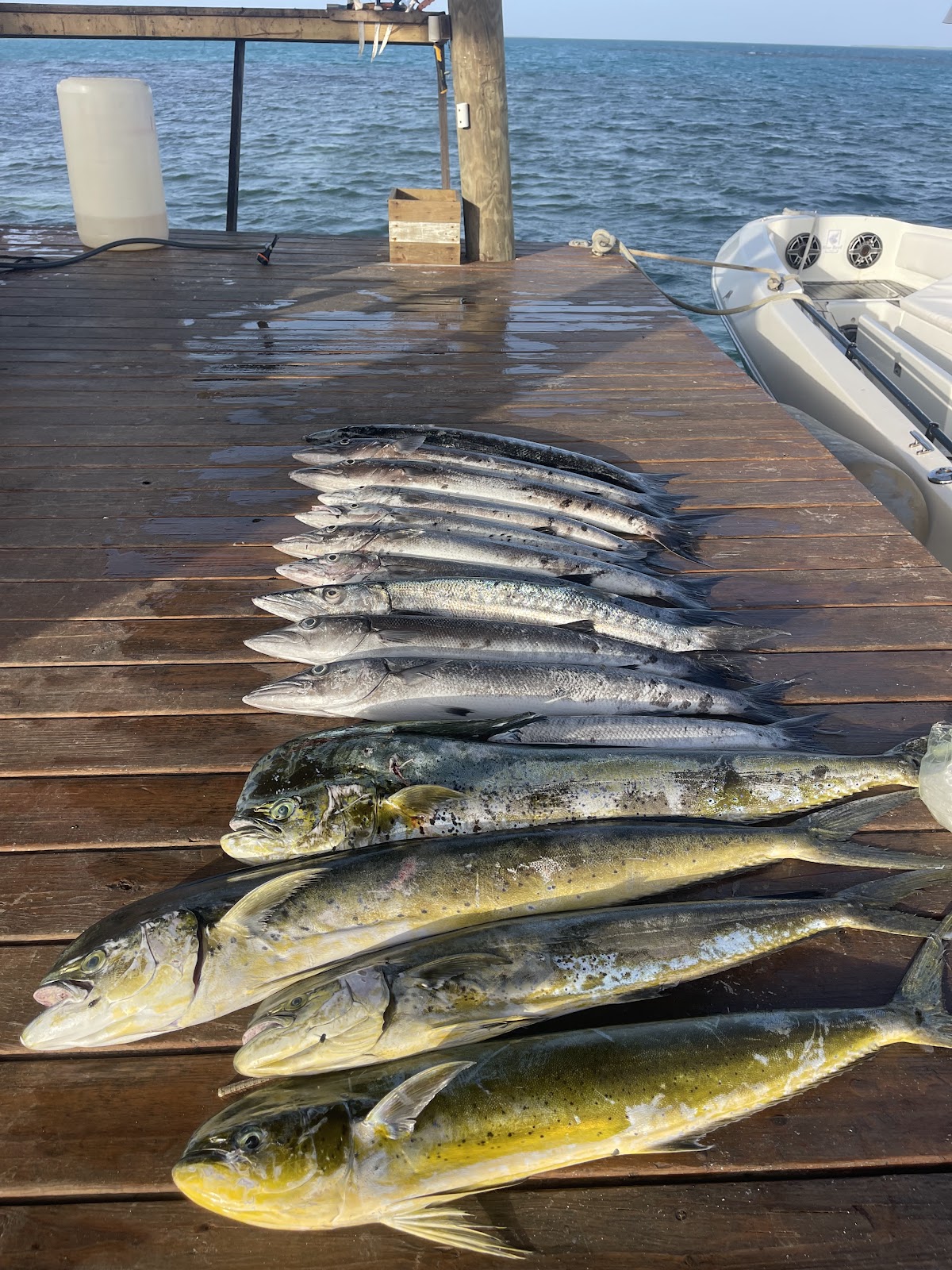 Blue Reef Island Belize gallery 6