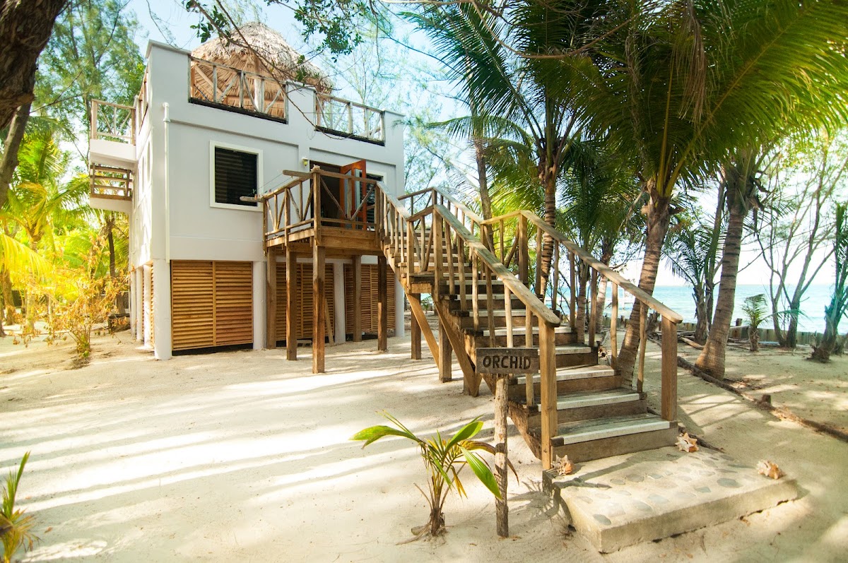 Thatch Caye Resort, a Muy'Ono Resort gallery 5