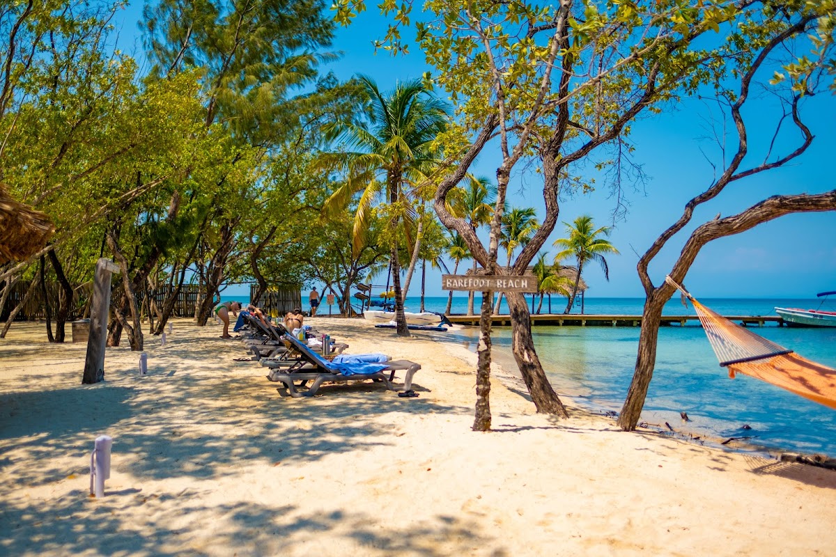 Thatch Caye Resort, a Muy'Ono Resort gallery 6