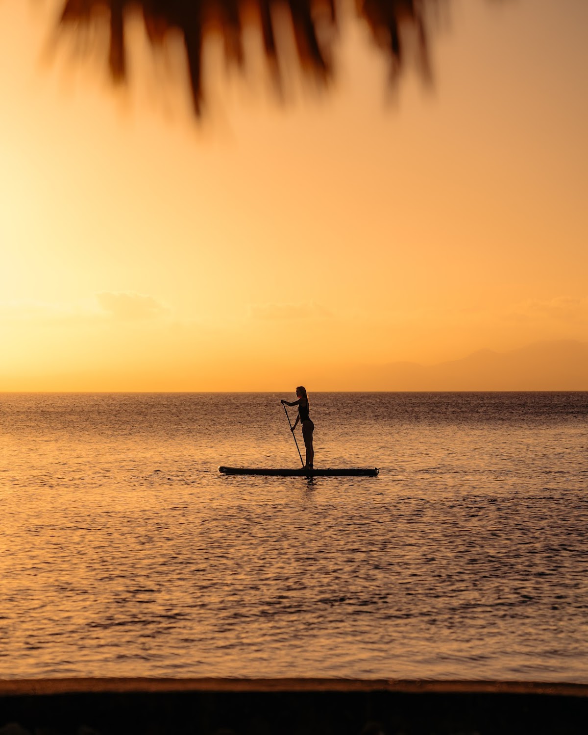 Thatch Caye Resort, a Muy'Ono Resort gallery 9