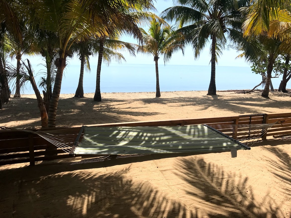 aMayanHeaven, beachfront house in Hopkins Bay gallery 6