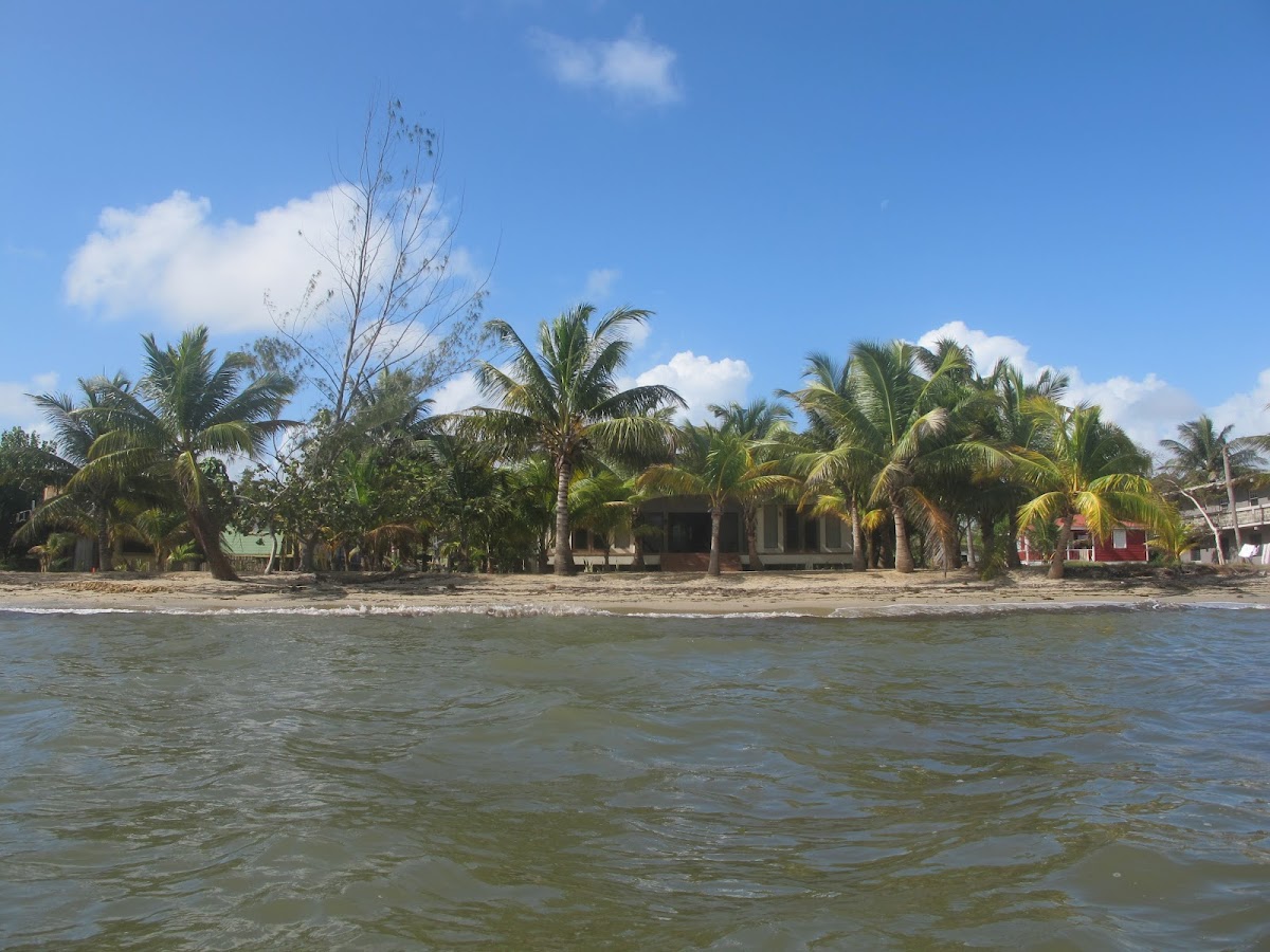 aMayanHeaven, beachfront house in Hopkins Bay gallery 8