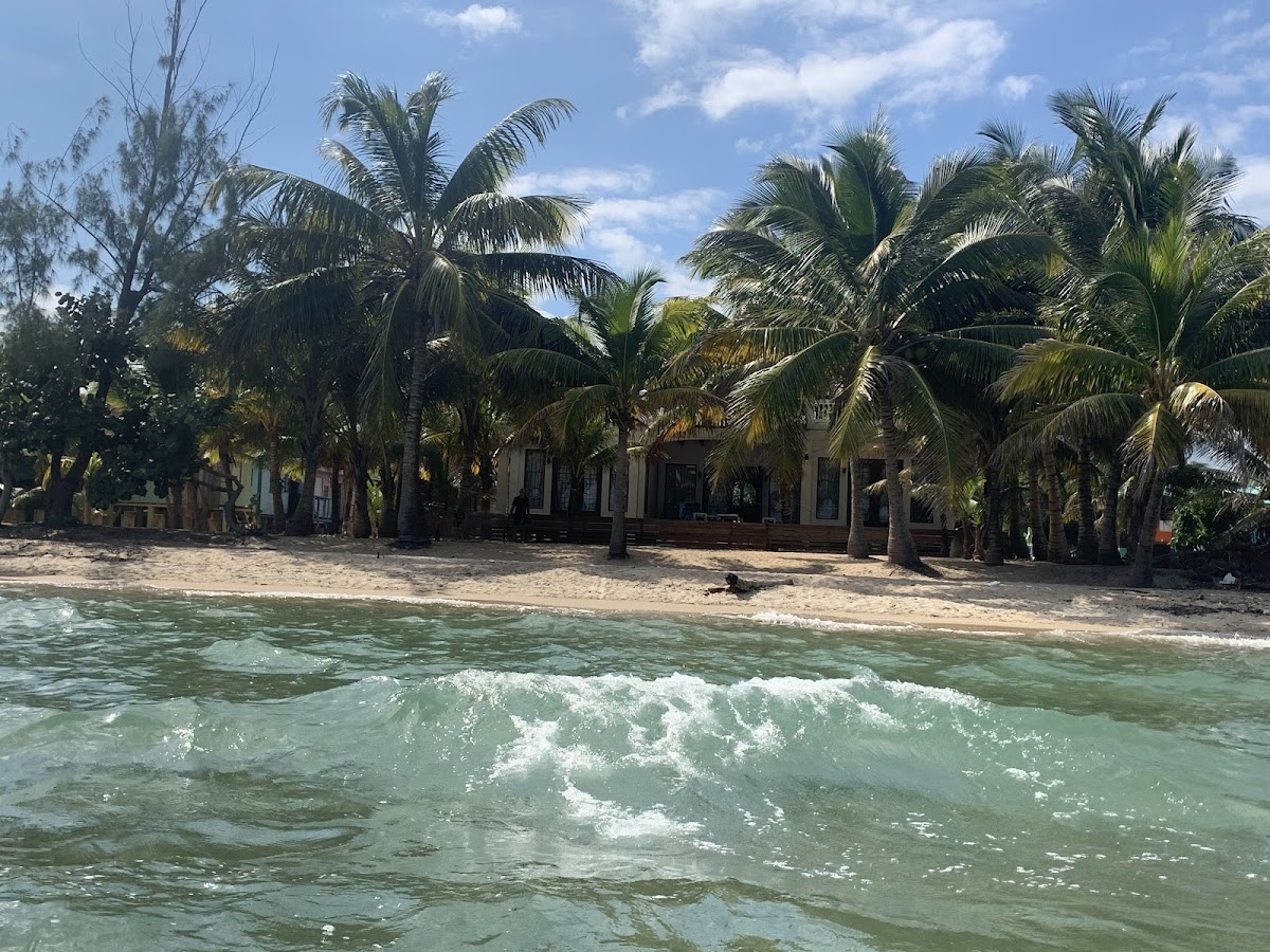 aMayanHeaven, beachfront house in Hopkins Bay gallery 10