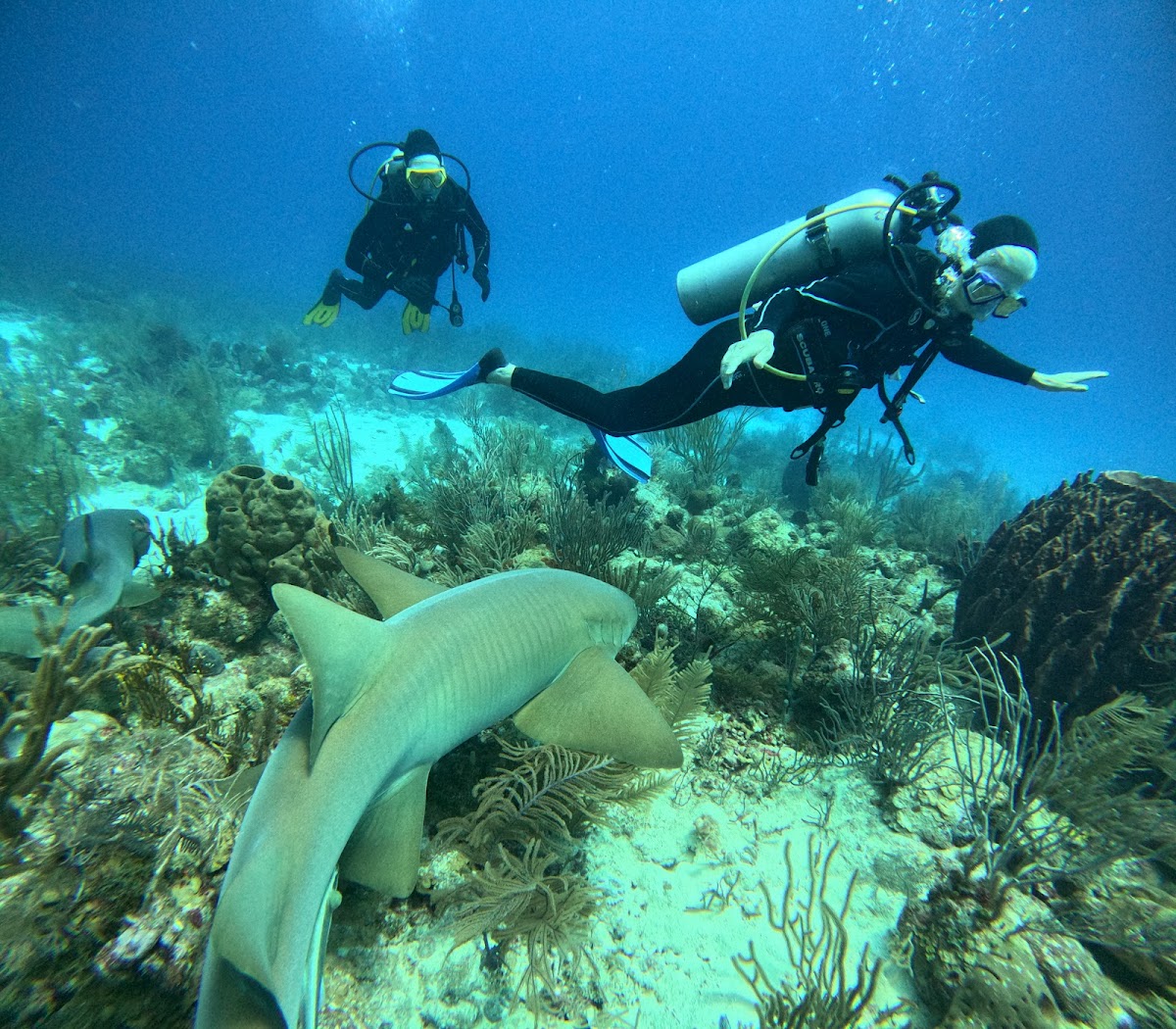 Seemore Adventures - Dive & Adventure Shop gallery 2