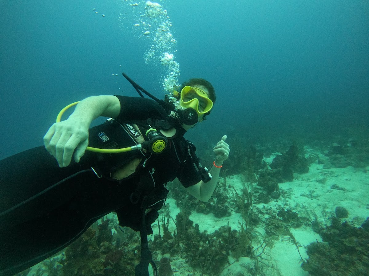 Seemore Adventures - Dive & Adventure Shop gallery 3