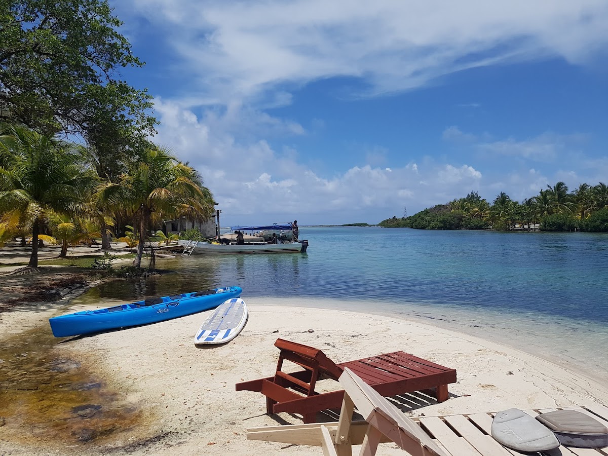 Seemore Adventures - Dive & Adventure Shop gallery 4