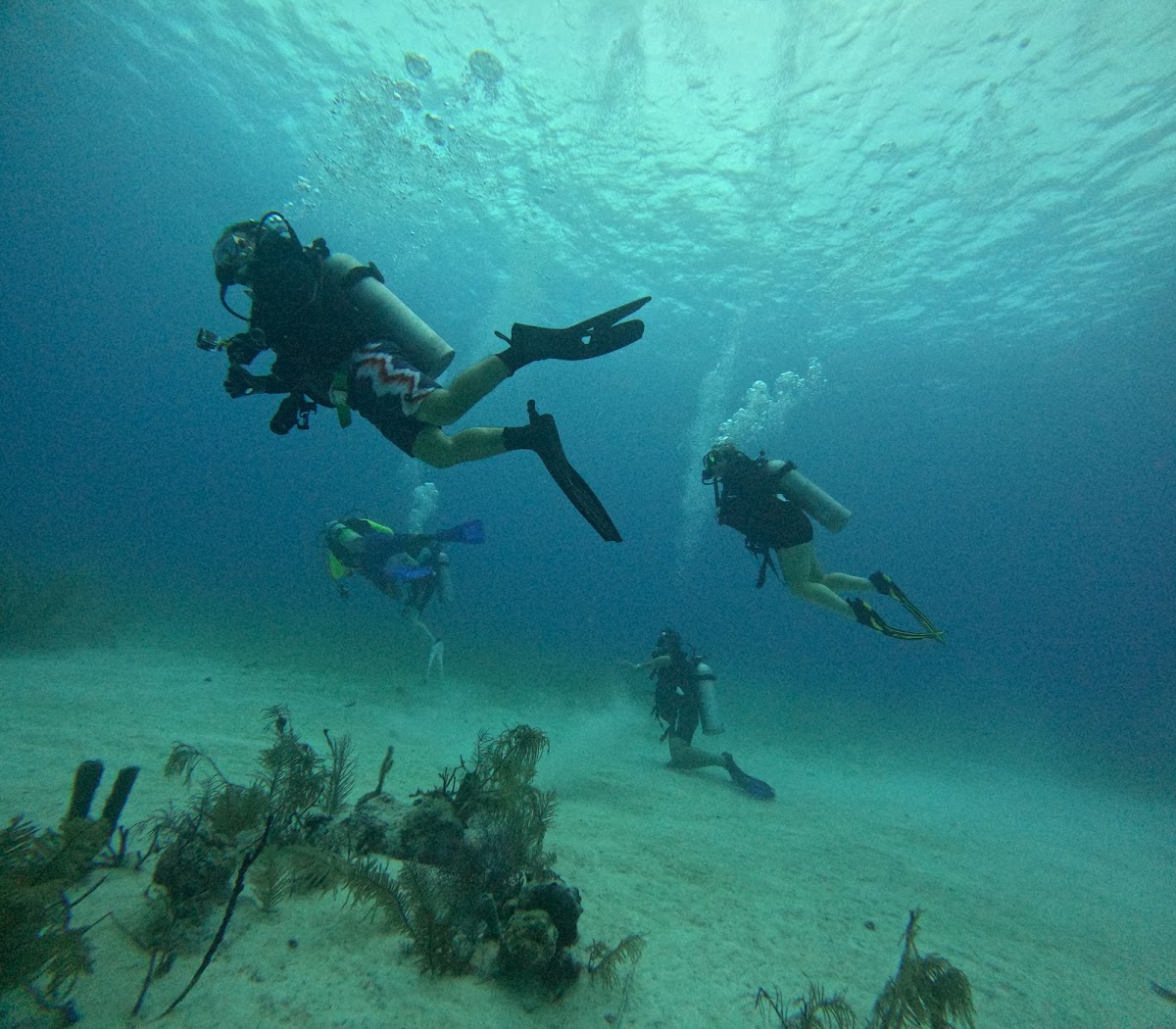 Seemore Adventures - Dive & Adventure Shop gallery 5