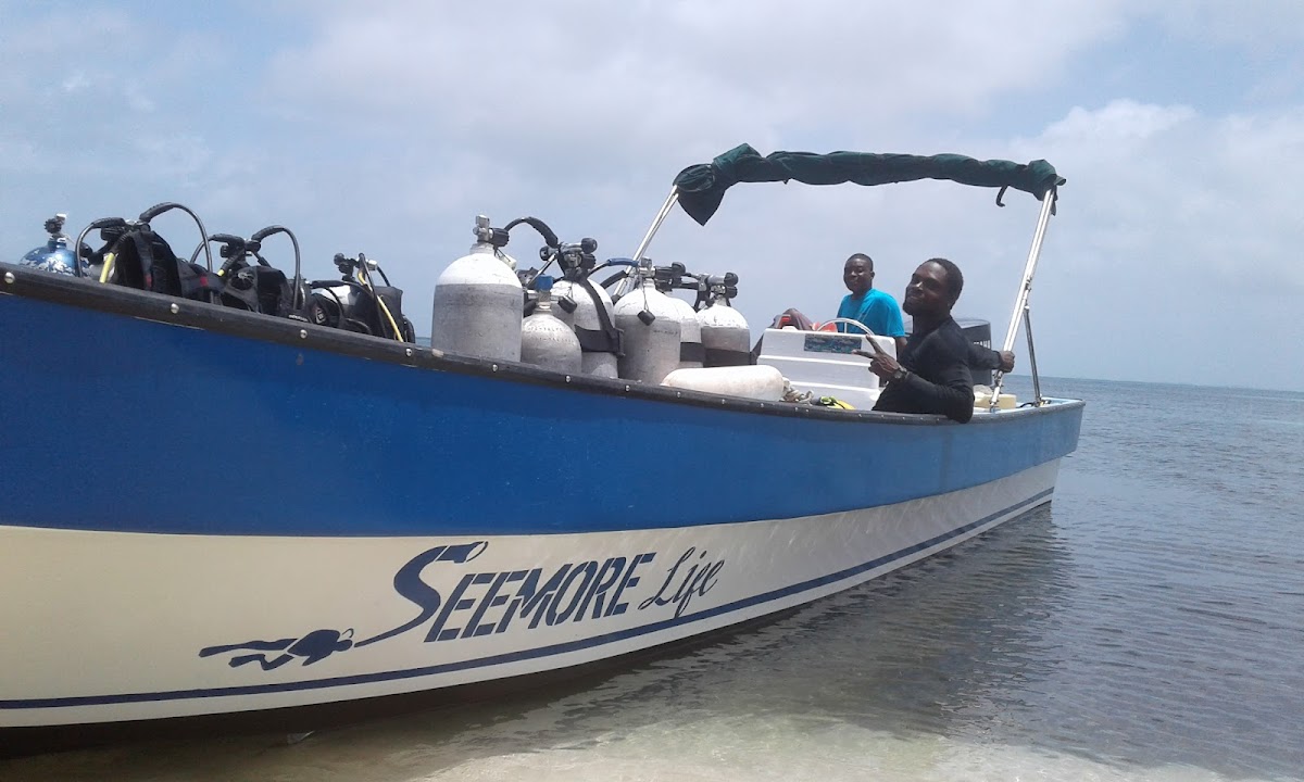 Seemore Adventures - Dive & Adventure Shop gallery 7