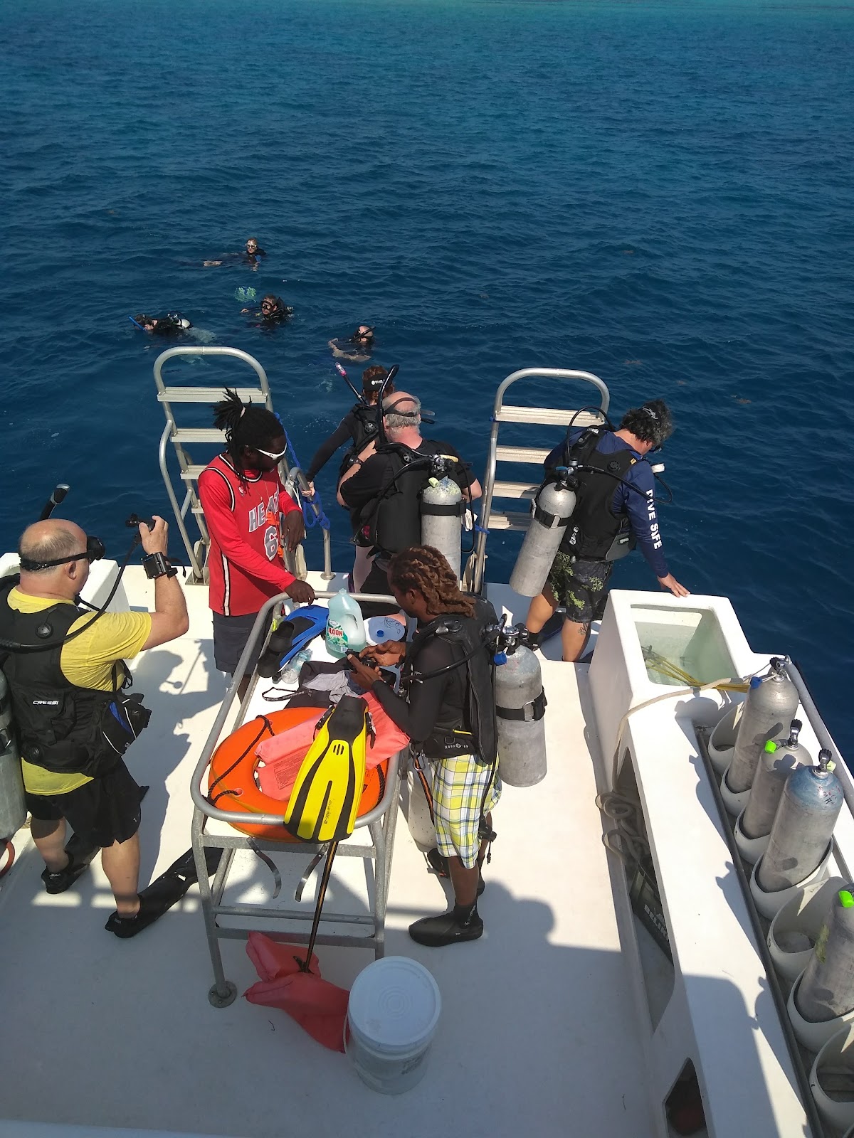Seemore Adventures - Dive & Adventure Shop gallery 8